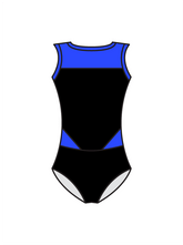 ASPIRE DANCE AND THEATRE ACADEMY - ELSIE LEOTARD (BESPOKE)
