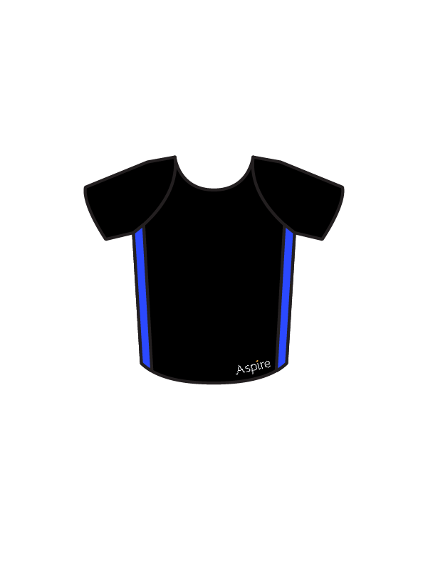 ASPIRE DANCE AND THEATRE ACADEMY - BOYS SIDE PANEL T (BESPOKE)