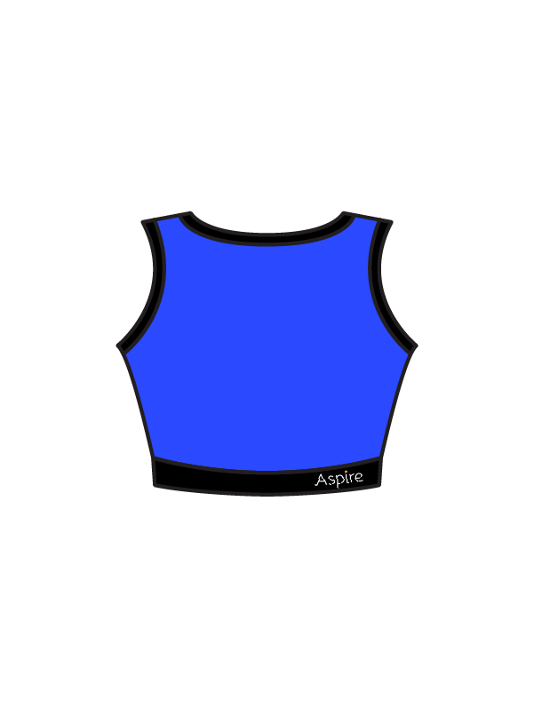 ASPIRE DANCE AND THEATRE ACADEMY - DARCIE CROP (BESPOKE)