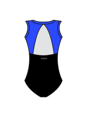 ASPIRE DANCE AND THEATRE ACADEMY - ELSIE LEOTARD (BESPOKE)