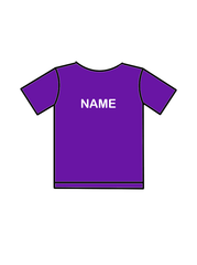 AERIAL NINJAS - T-SHIRT PURPLE (G) (IN-STOCK)