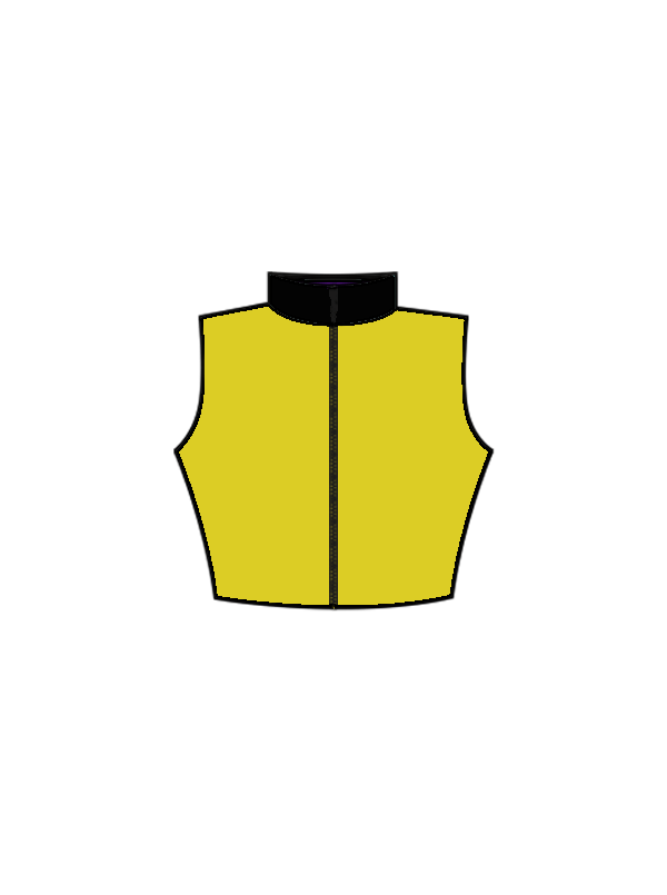 ANGELS - AMBER SLEEVELESS CROP TOP (BESPOKE)