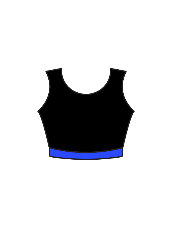 ASPIRE DANCE AND THEATRE ACADEMY - MEGAN CROP (BESPOKE)